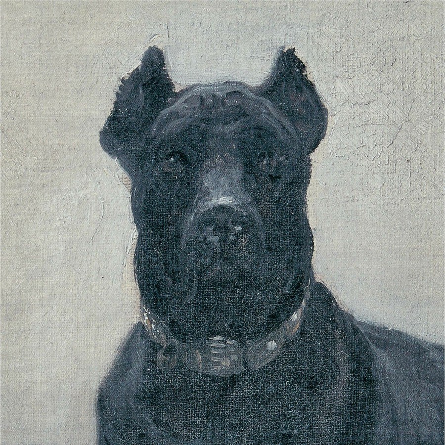 Decor & Mirrors * | Cb2 Popular 'Great Dane' Oil Painting Reproduction 30"X20"