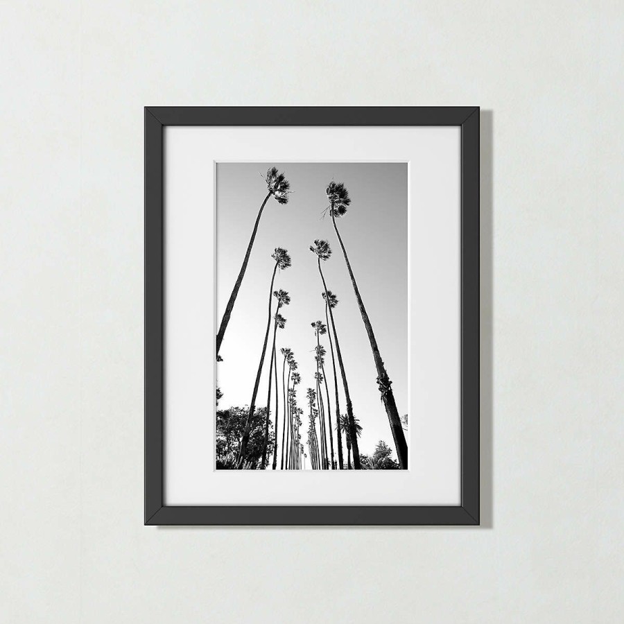 Decor & Mirrors * | Cb2 New Arrivals 'Palm Trees Road' Photographic Print In Frame 17.5 X21.5