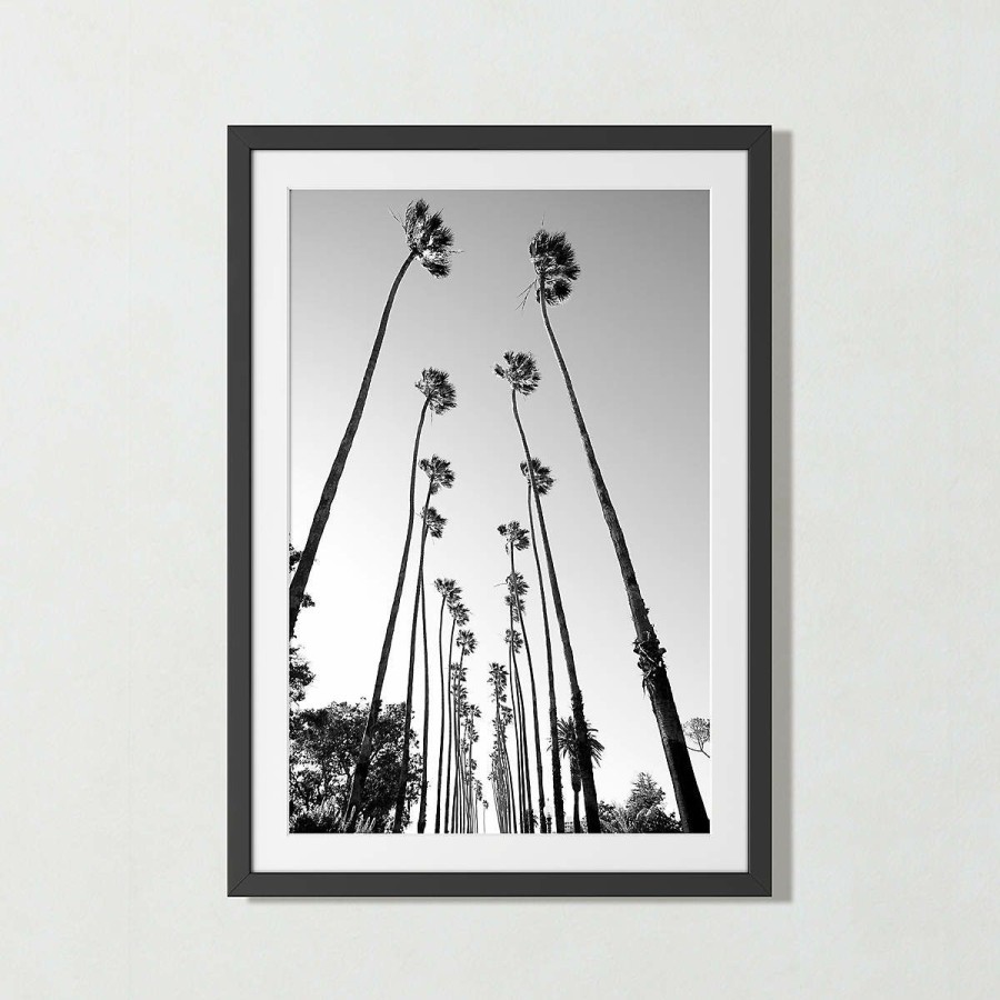 Decor & Mirrors * | Cb2 New Arrivals 'Palm Trees Road' Photographic Print In Frame 17.5 X21.5